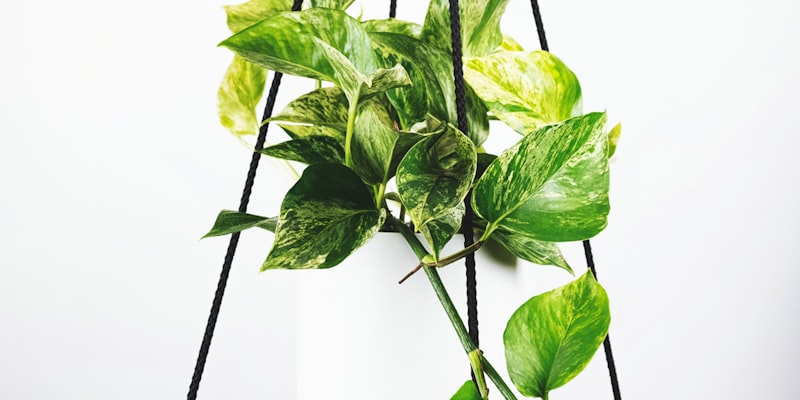 世界杯比赛现场观众座无虚席的宏大场面